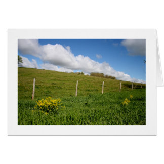 Cartão Wisconsin Farmland