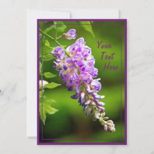 Cartão Wisteria