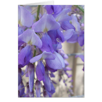 Cartão Wisteria