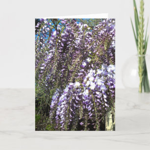 Cartão Wisteria Blank Greeting Card