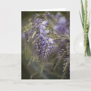 Cartão Wisteria Sussurrante Fotografia da Natureza em C
