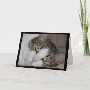 Cartão Wistful Cat Missing You Greeting Card