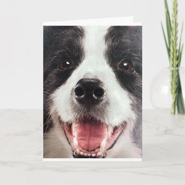 CARTÃO WOF WOF OU OUTRAS PALAVRAS **FELIZ ANIVERSÁRIO** (Frente)