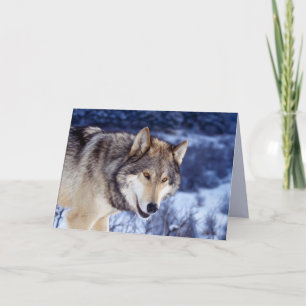 Cartão Wolf 2 de inverno