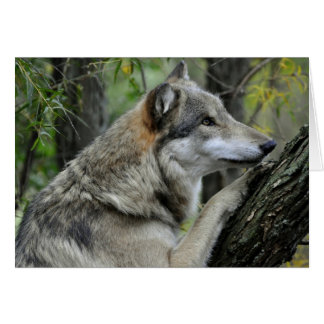 Cartão Wolf cinza