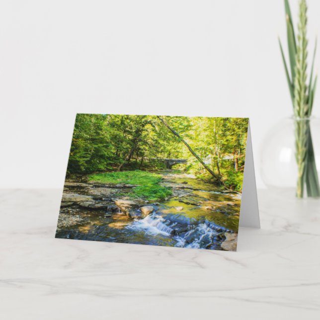 Cartão Wolf Creek Card (Frente)