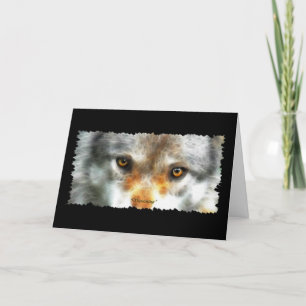 Cartão WOLF EYES Wildlife Supporter Greeting-cards