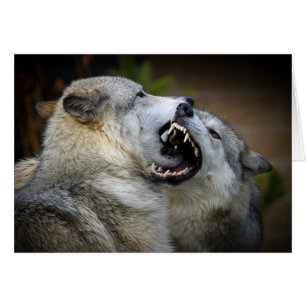 Cartão Wolf Fight