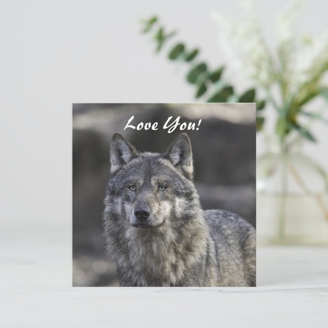 Cartão Wolf Flat Greeting Card (Em pé/Frente)