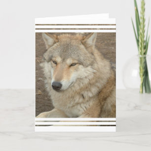 Cartão Wolf Greeting Card