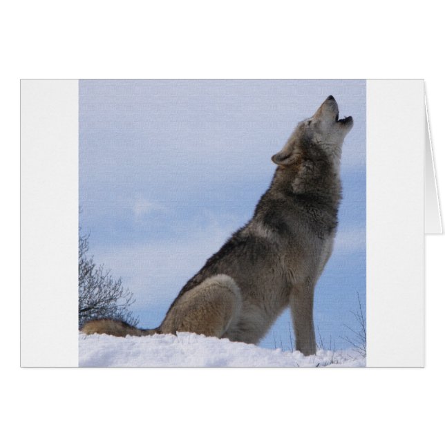 Cartão Wolf Howl (Frente Horizontal)