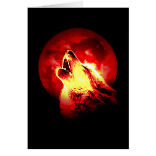Cartão Wolf Howling na Noite Vermelha