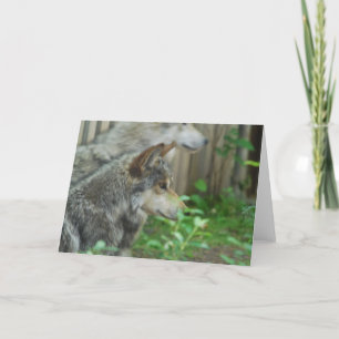 Cartão Wolf Pair  Greeting Cards