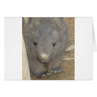Cartão Wombat