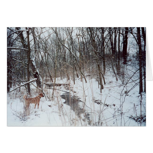 Cartão Wonderland (Frente horizontal)