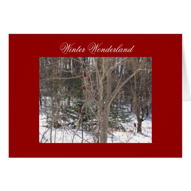 Cartão Wonderland (Frente Horizontal)