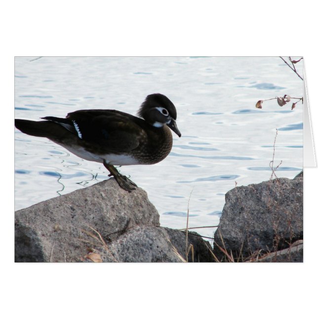 Cartão Wood Duck Hen (Frente Horizontal)