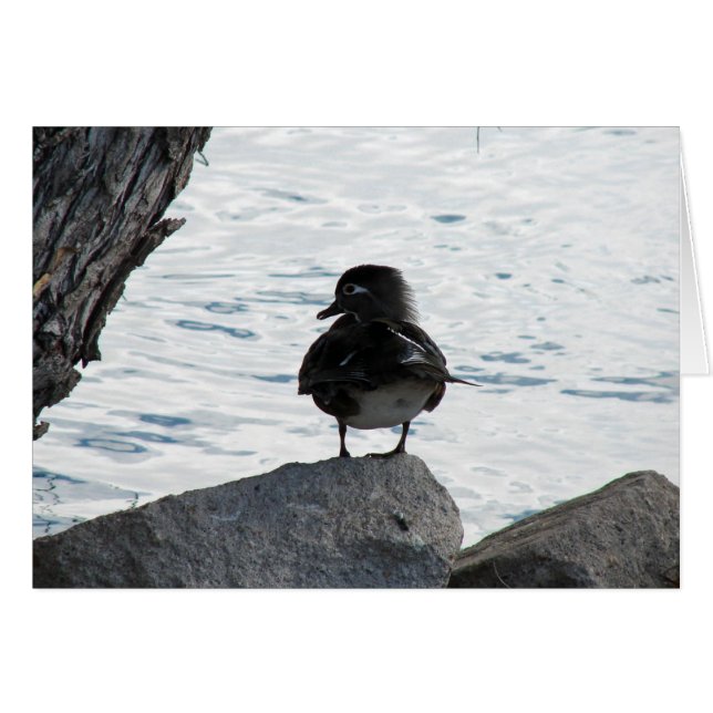 Cartão Wood Duck Hen (Frente Horizontal)