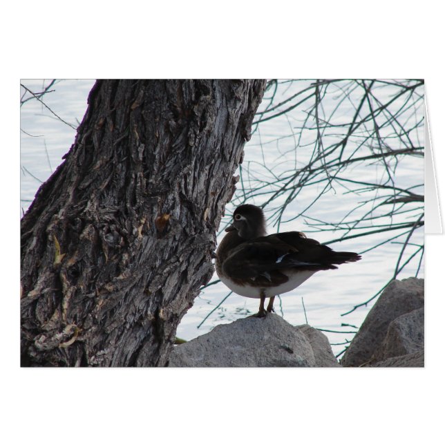 Cartão Wood Duck Hen (Frente Horizontal)