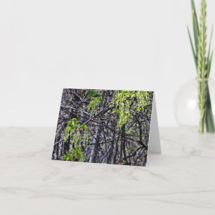 Cartão Woodland Note Card Nature's Chandeliers