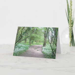 Cartão Woodland Path Photo Greeting Card