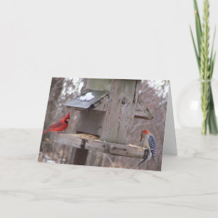 Cartão Woodpecker&Male Cardinal