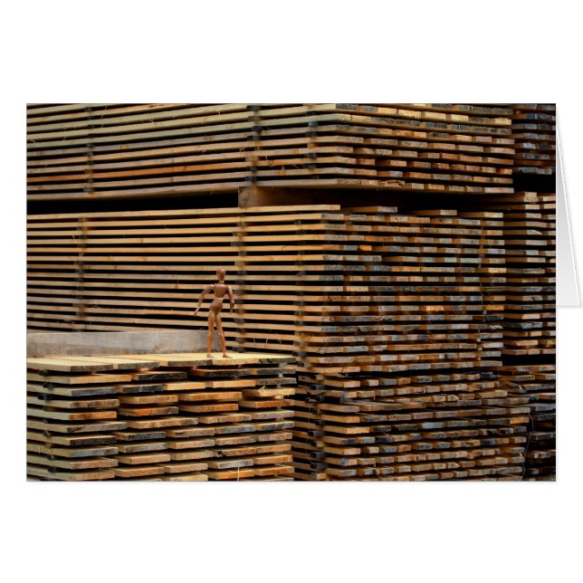 Cartão Woody De Volta Às Raízes (Frente Horizontal)