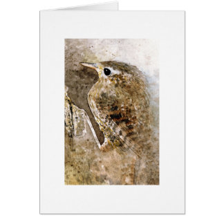 Cartão Wren