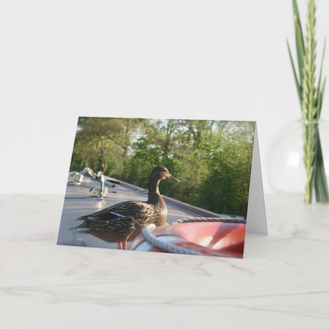 Cartão Wrenbury Duck Llangollen Canal Notecard (Frente)