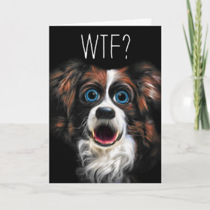 Cartão WTF? Belated Birthday with Funny Border Collie Dog