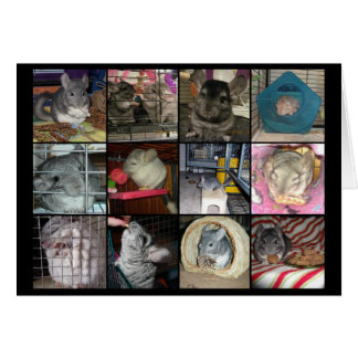 Cartão Wunderchins 2012