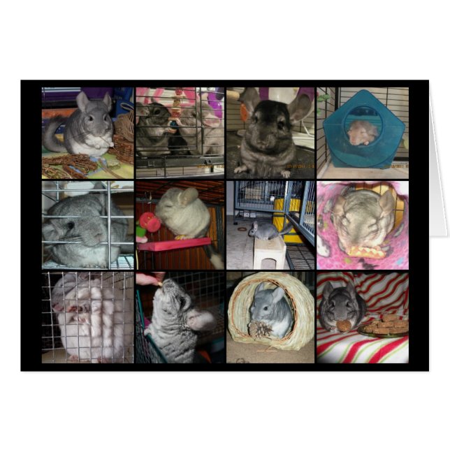 Cartão Wunderchins 2012 (Frente Horizontal)