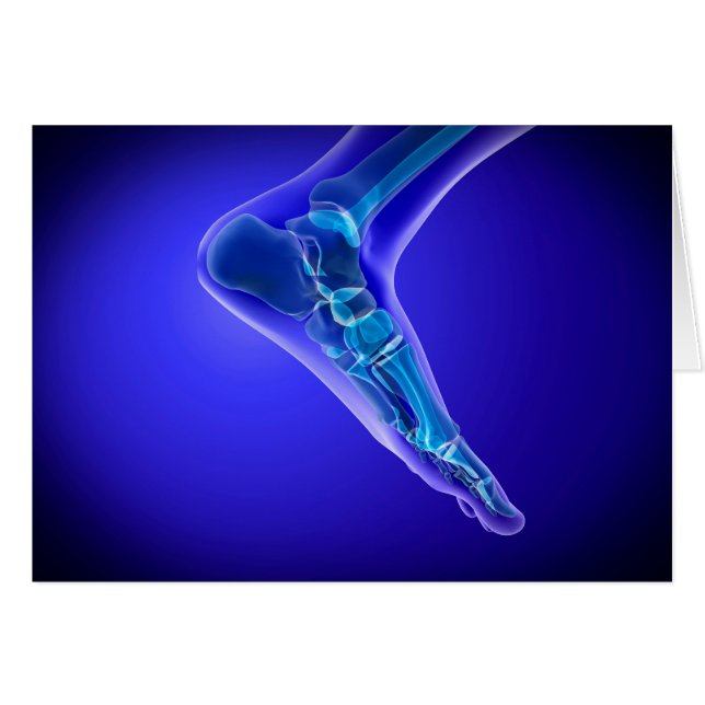 Cartão X-Ray View Do Pé Humano 3 (Frente Horizontal)