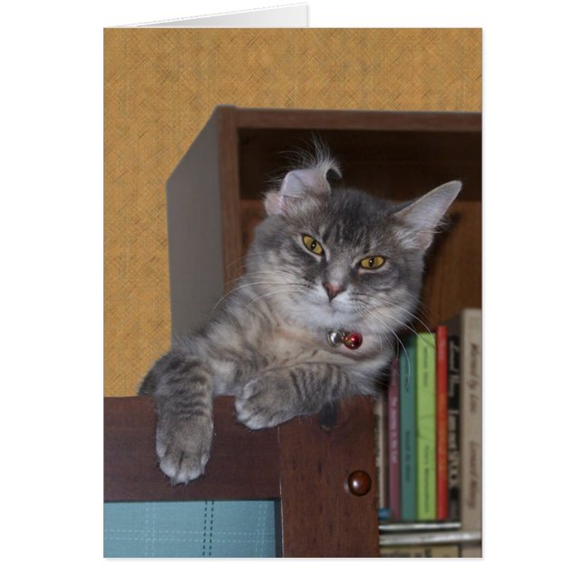 Cartão Xena Goofy (Frente)