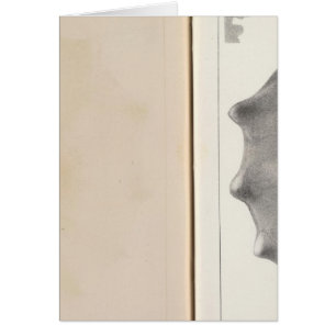 Cartão XIX Cretáceo