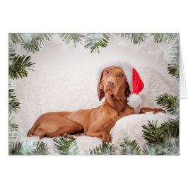 Cartão Xmas Card/Christmas Card “Magyar Vizsla "