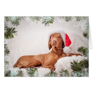 Cartão Xmas Card/Christmas Card “Magyar Vizsla "