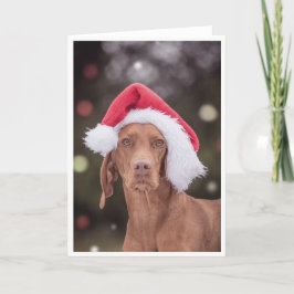Cartão Xmas/Cartão de Natal "Magyar Vizsla"