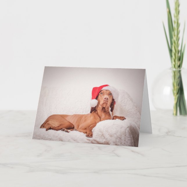 Cartão Xmas/Cartão de Natal "Magyar Vizsla" (Frente)