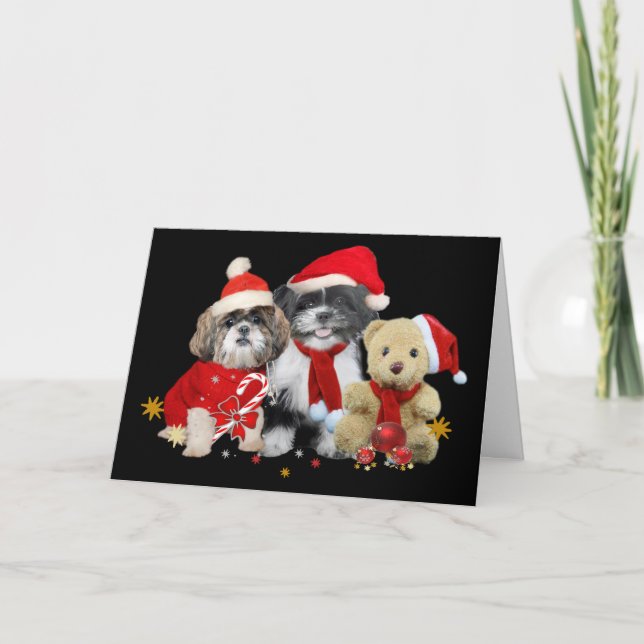 Cartão Xmas Shih Tzu & Teddy Bear (Frente)