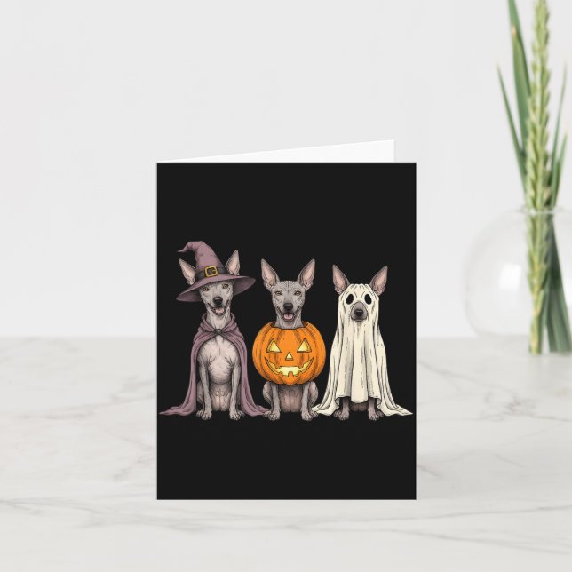 Cartão Xoloitzcuintli Fantasma Assustador Abóbora Hallowe (Frente)