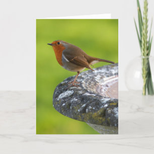 Cartão Yard Boss Greeting Card