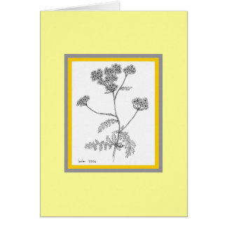 Cartão Yarrow