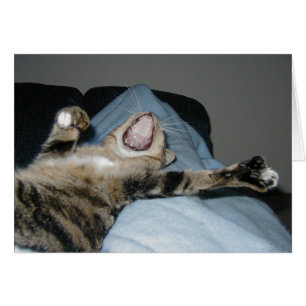 Cartão Yawning Kittie