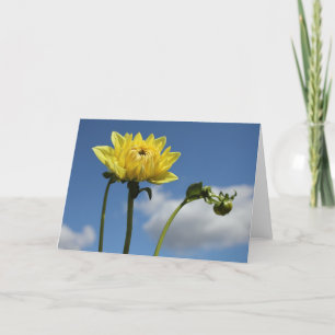 Cartão Yellow Dahlia flower in the sun
