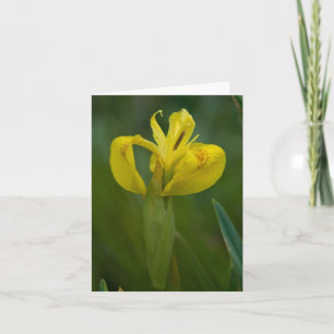Cartão Yellow Iris Note Card
