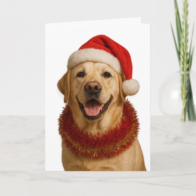 Cartão Yellow Labrador Retriever Christmas card (Frente)