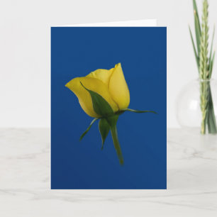 Cartão Yellow Rose Blank Note or Greeting Card