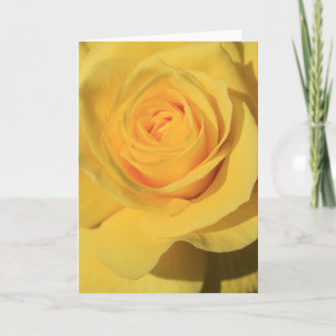 Cartão Yellow Rose Flower Greeting Card,Note Card