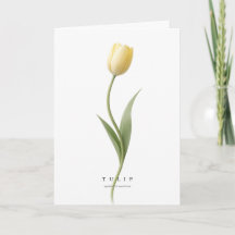 Yellow Tulip Botanical Art Symbol of Sunshine/Joy